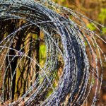 Home barbed wire roll 4094639 1280